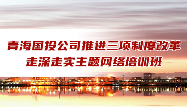 大阳城娱乐官网（中国）有限公司组织人力资源管理网络培训班圆满结业